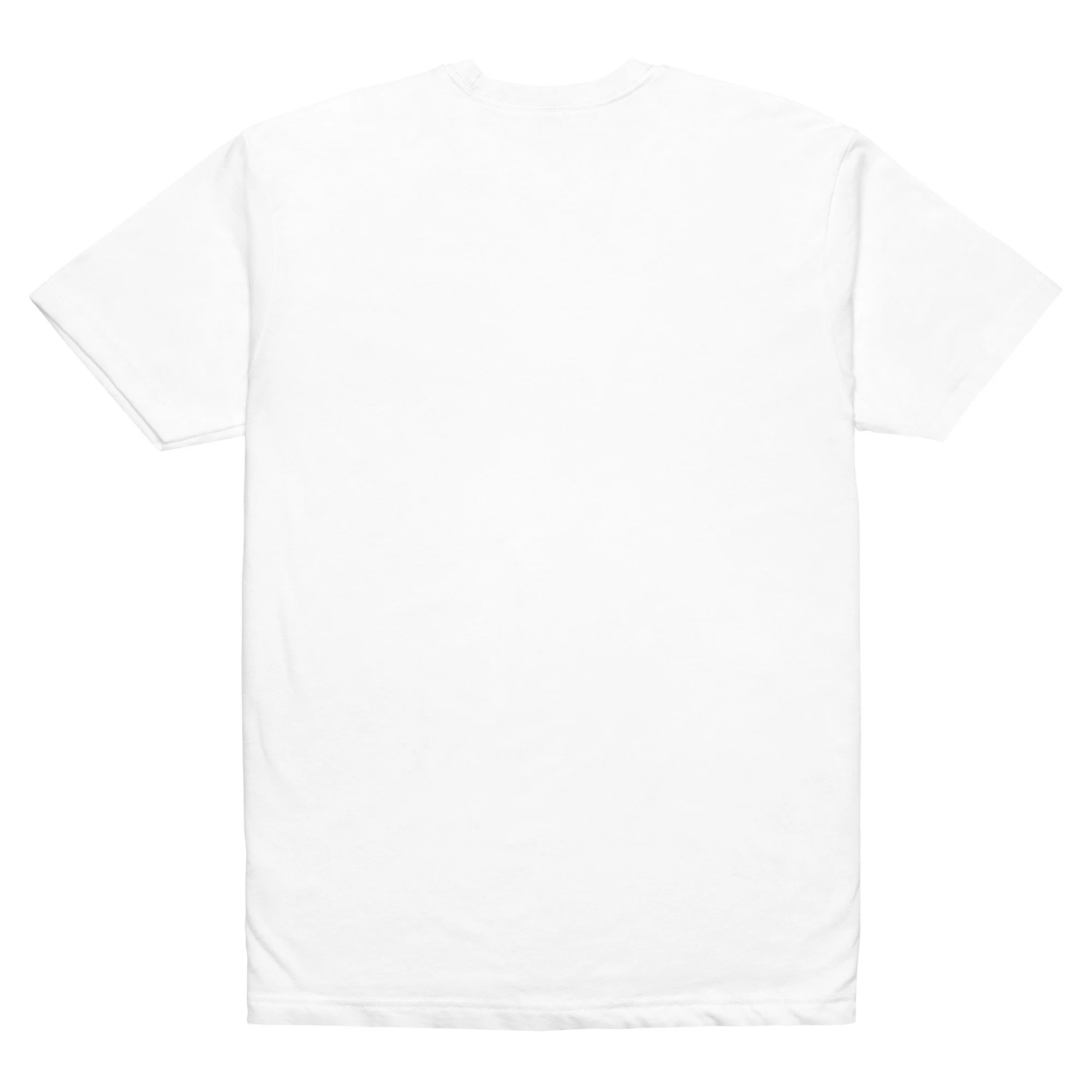 unisex-cvc-t-shirt-white-back-6a1eed247faa0.jpg