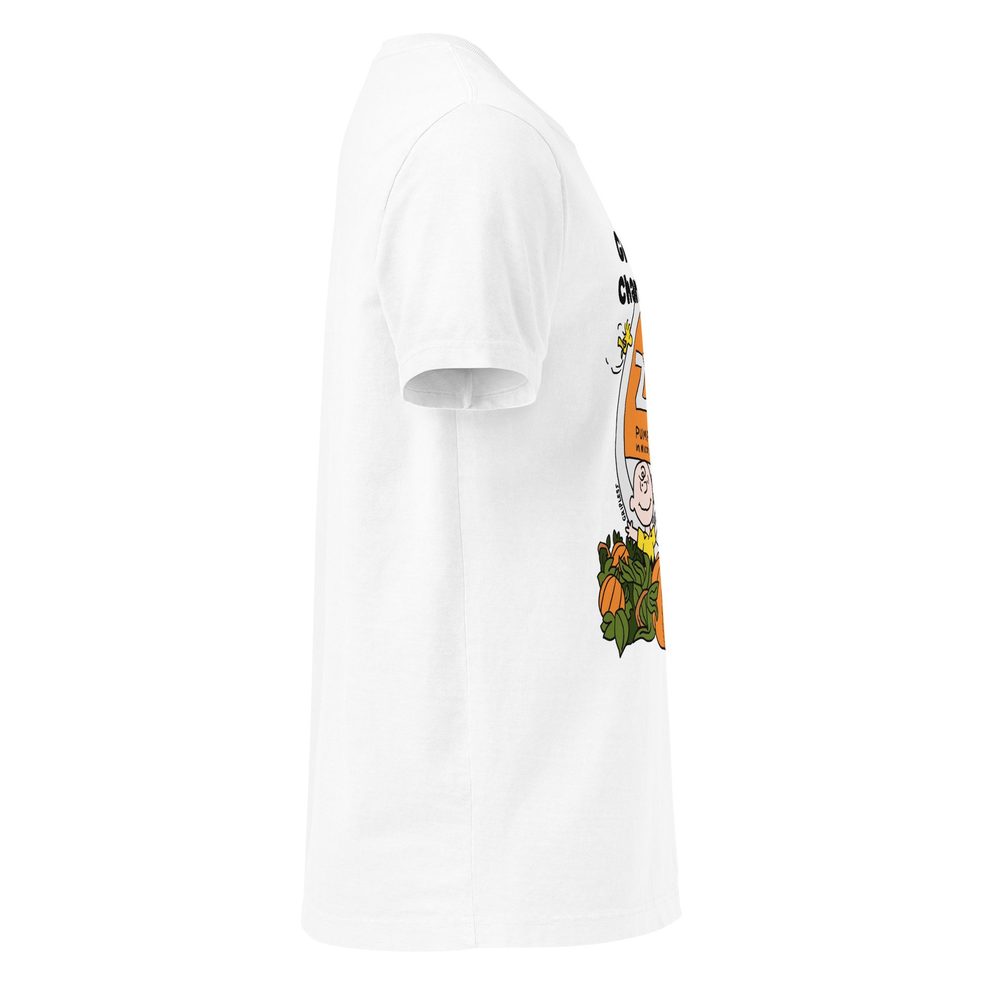 unisex-heavyweight-garment-dye-tee-white-right-6ada4a4ae6d75.jpg