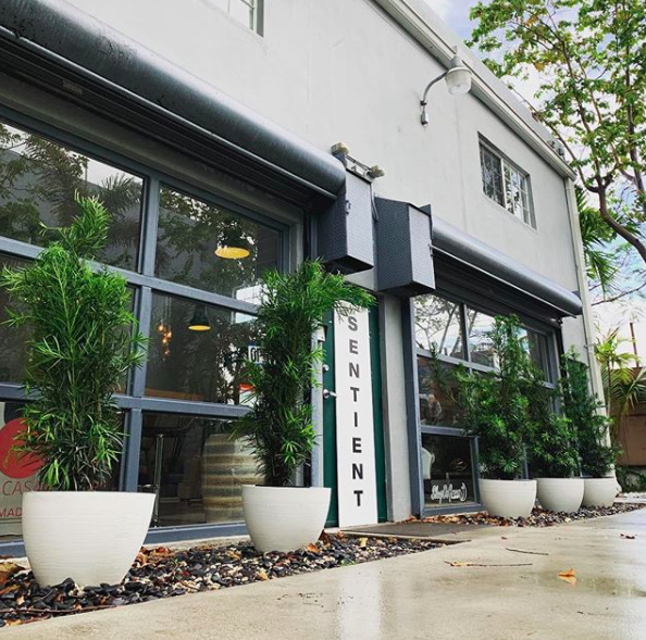 Sentient House pop-up at Ironside