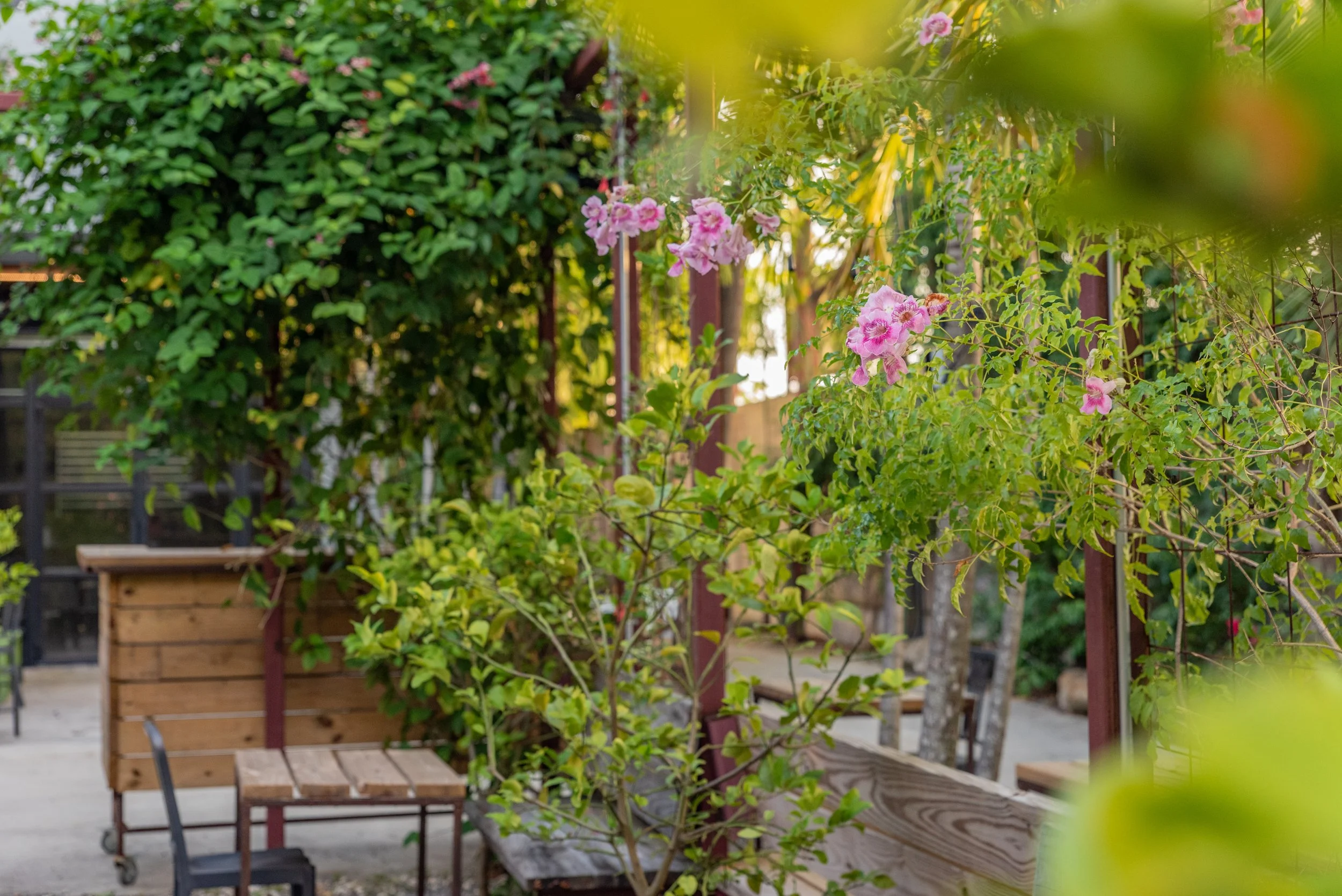 LemonGrove-Nature-LR5.jpg