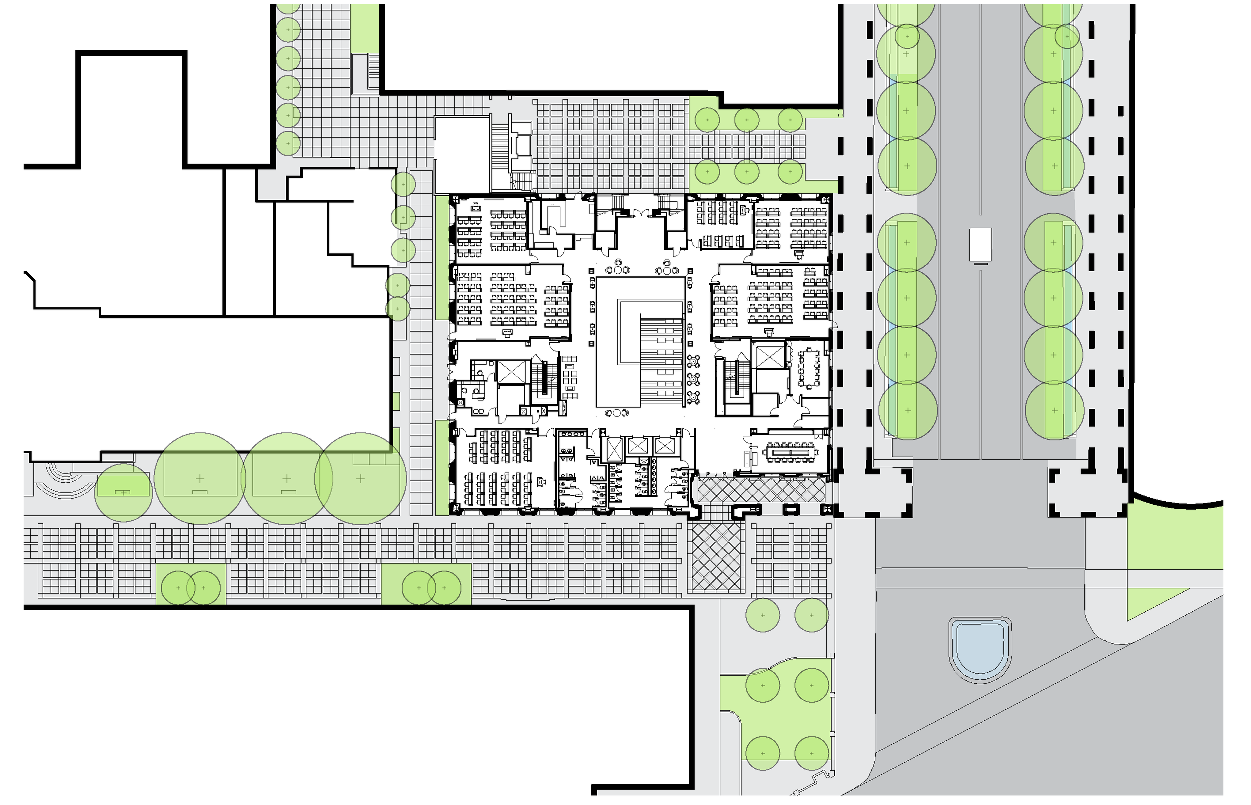 SITE PLAN.png