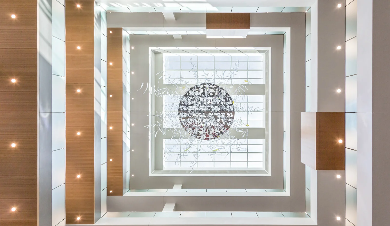 Skylight Cropped.jpg