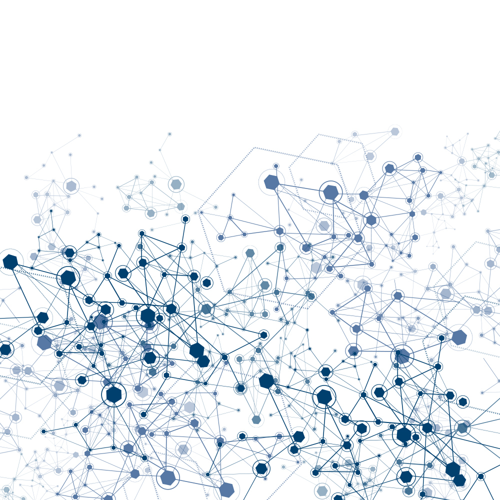 network.jpg