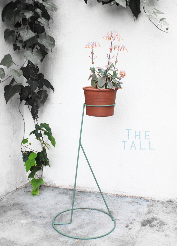 lite_green_Thetall.jpg