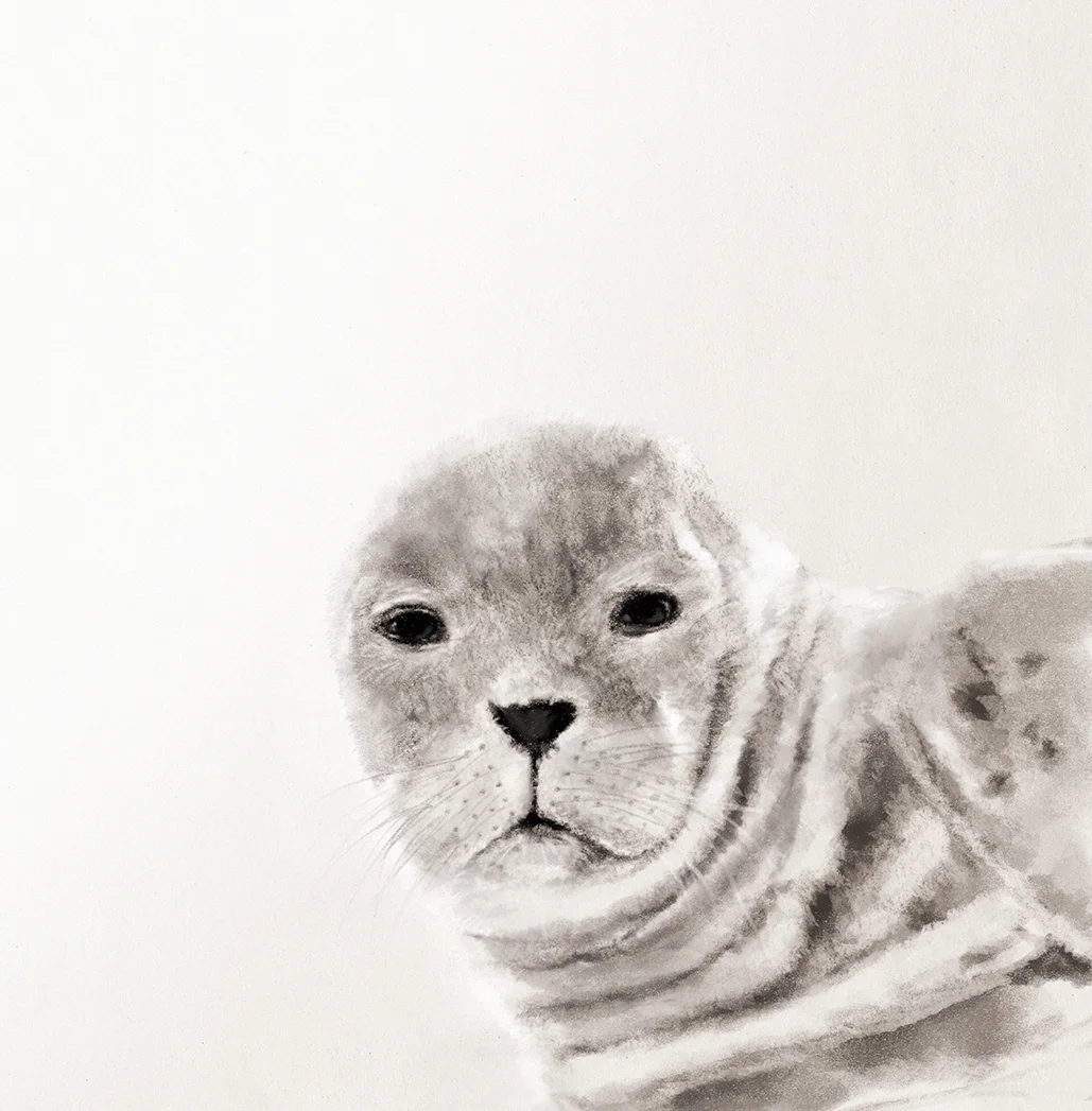 seal.jpg
