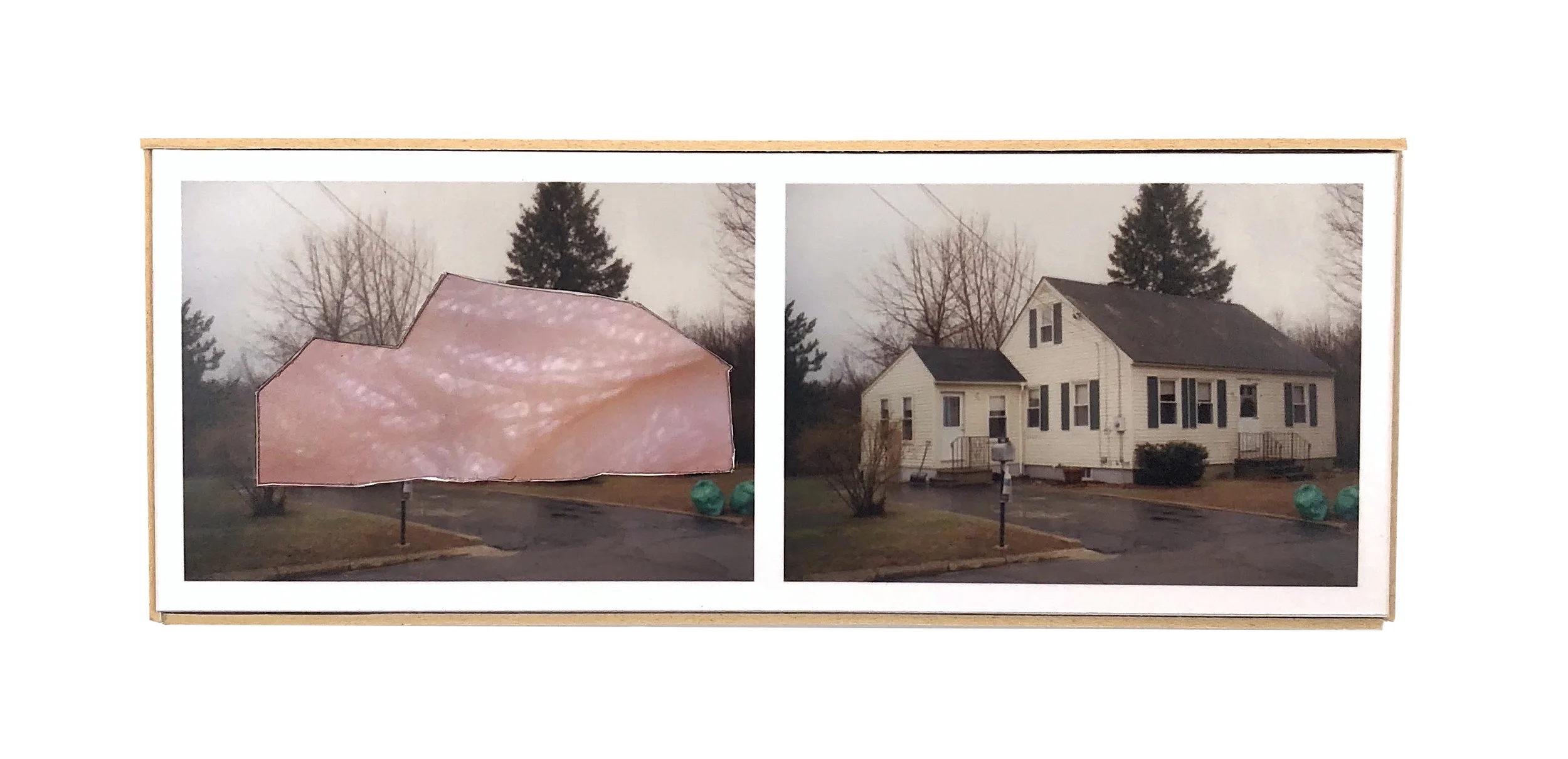    Split, Dover   ,  2015  hand-cut photo-collage (mounted on matte board, foamcore)  2L x 5W x ¾ D inches       