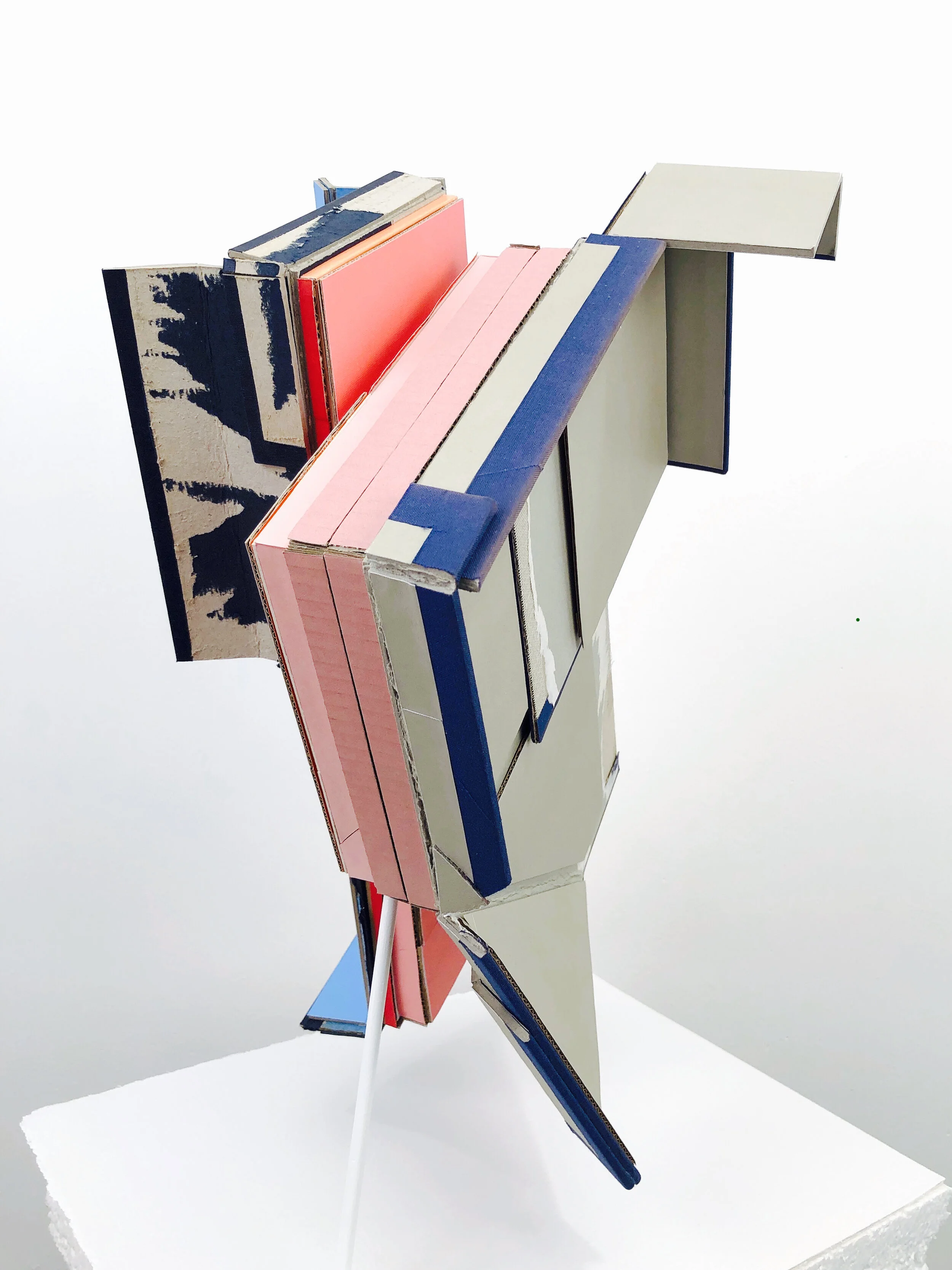    Carrier 3 (Lean-to)  , 2020  view 7 