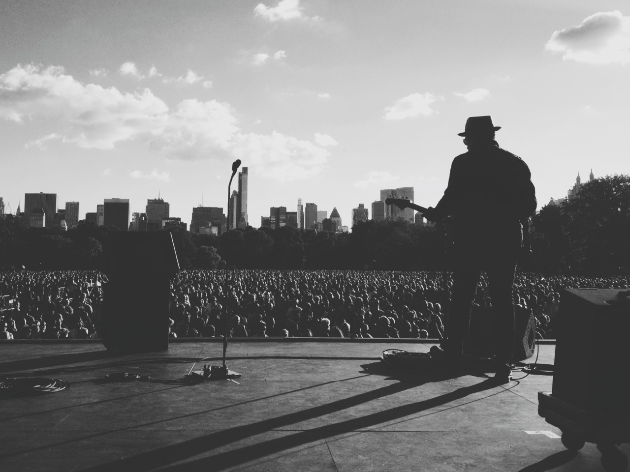 ElvisCostello.jpg