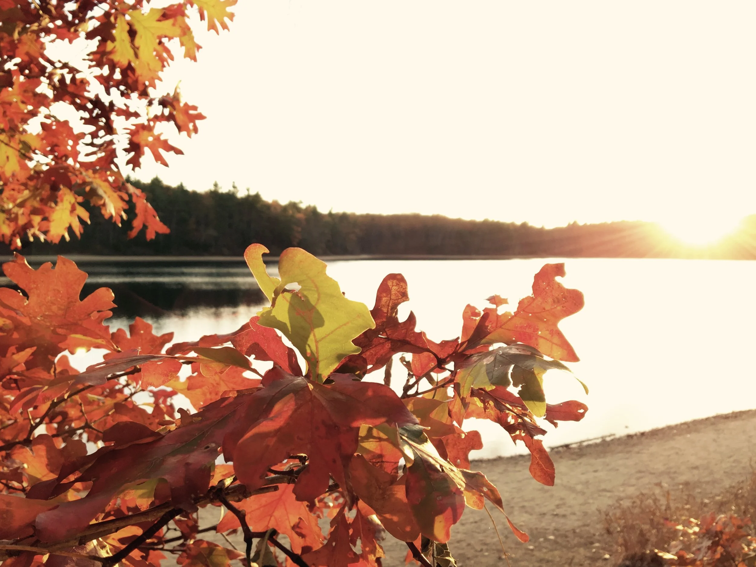 Why You Should Listen To Your Mother This Holiday Season