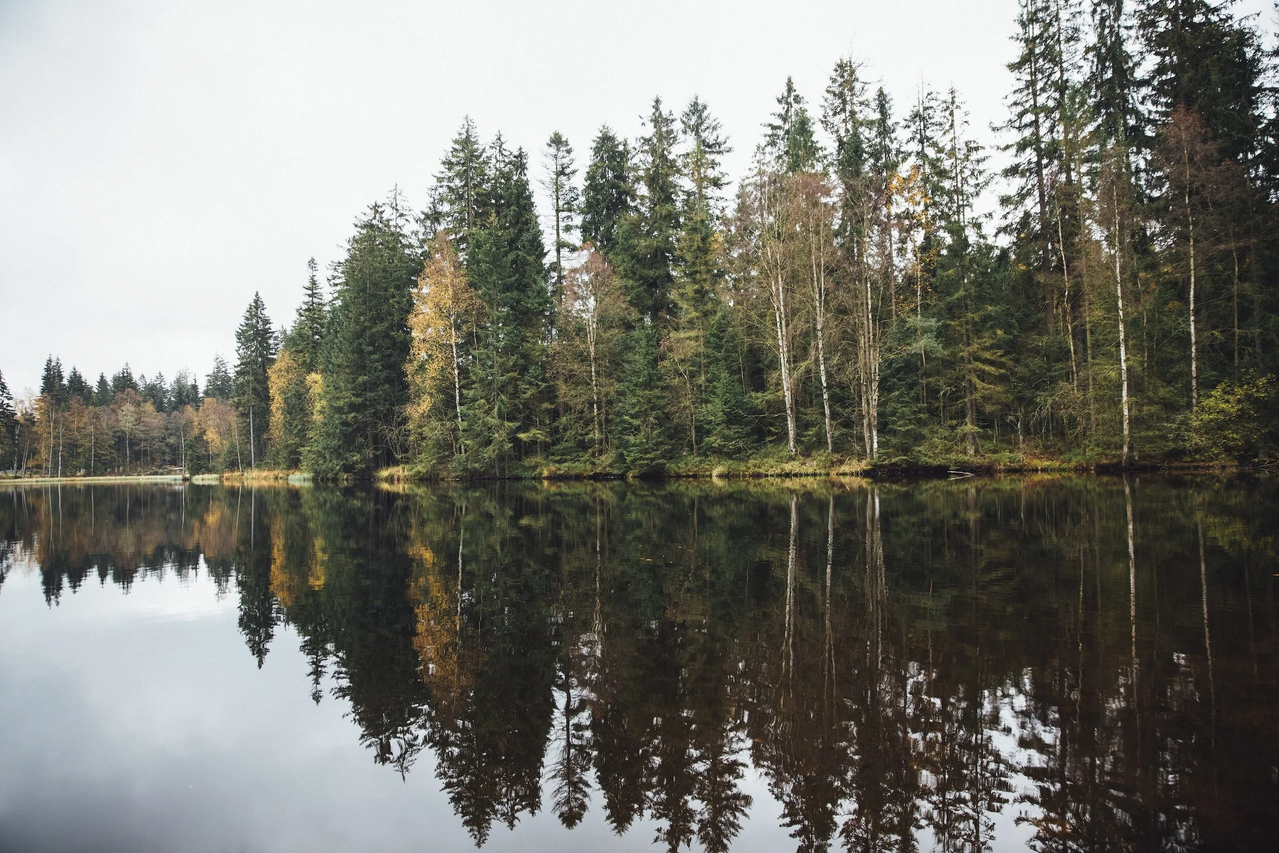 My (Three) Favorite Things in a Serious Crisis 