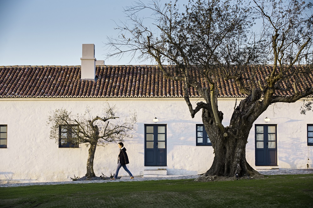 ESTATE_HERDADE_BARROCAL_310316_2935 low res.jpg
