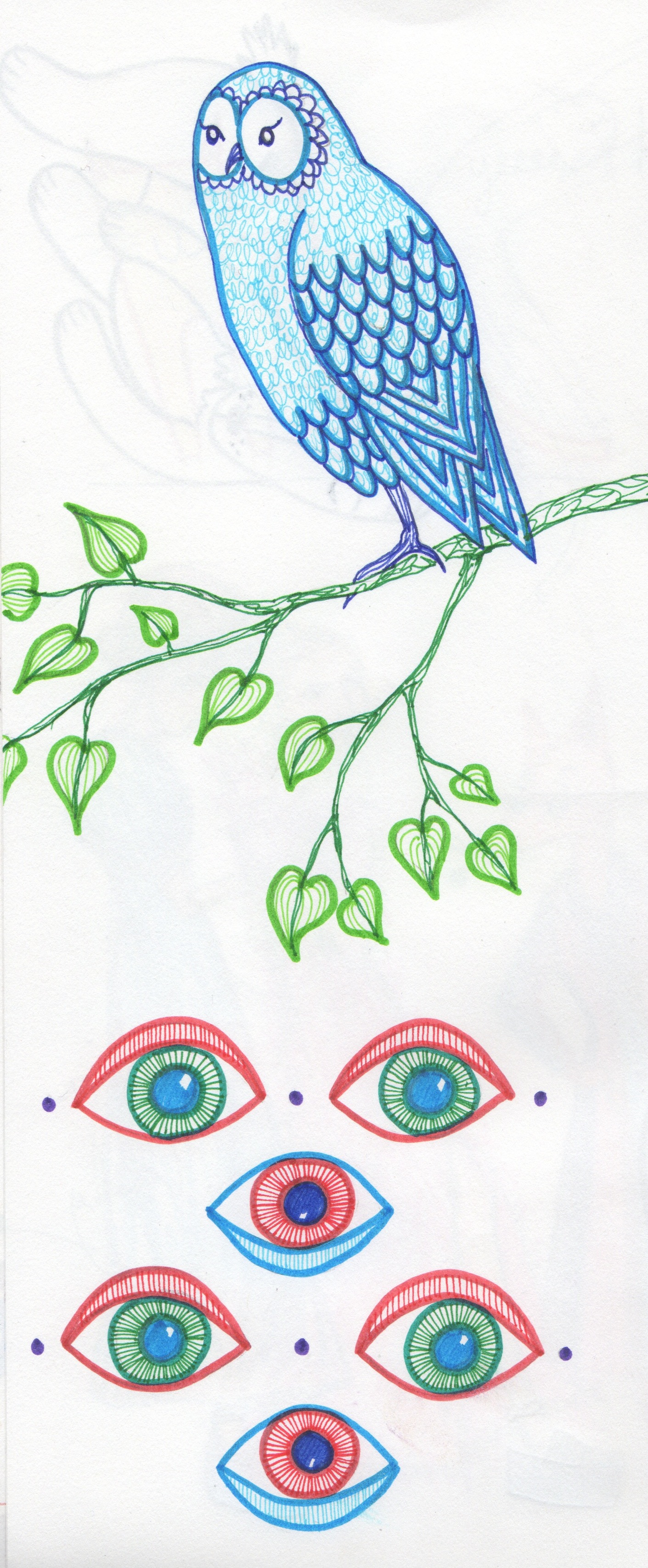 Owl eyes