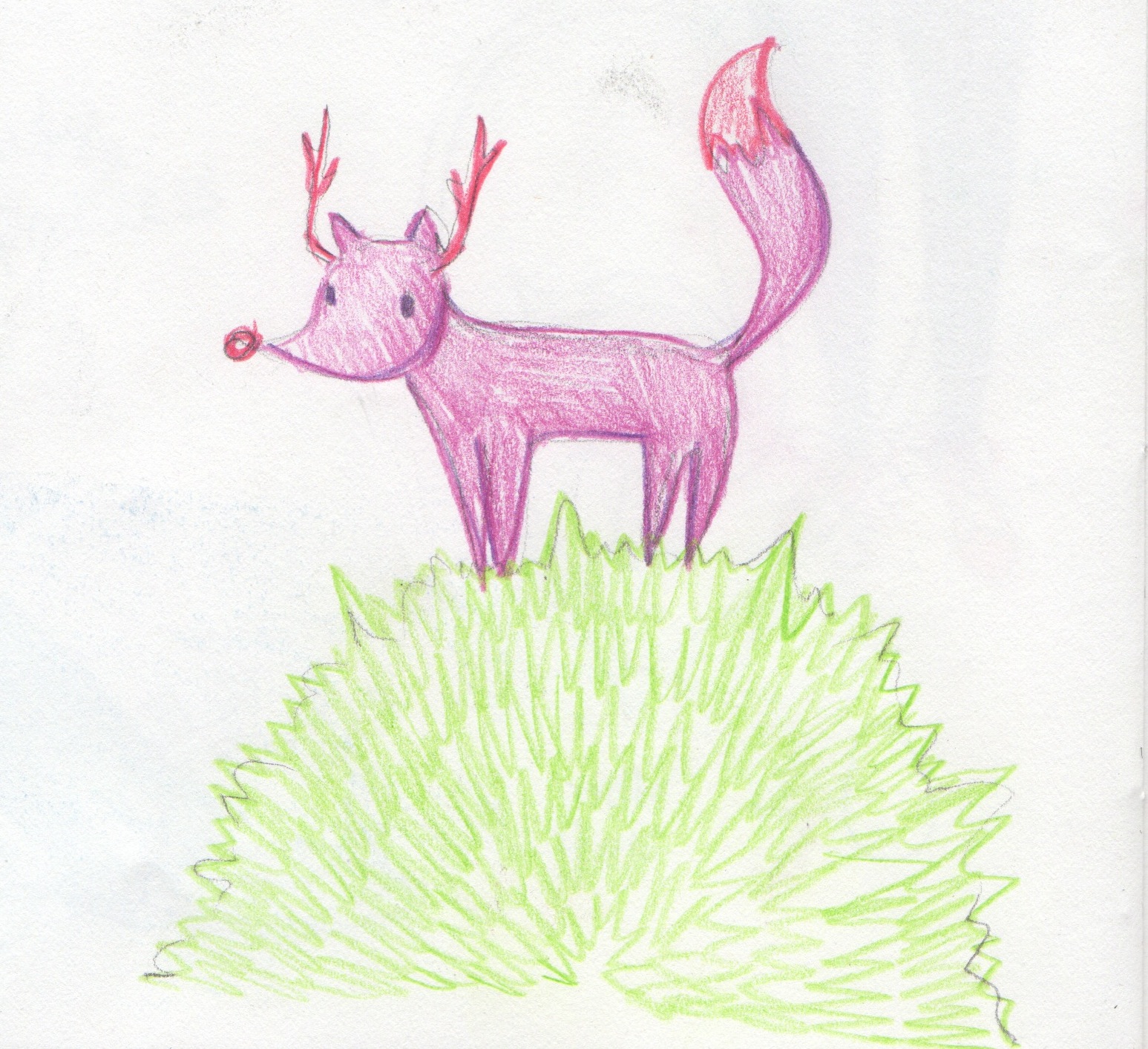 Foxy dear