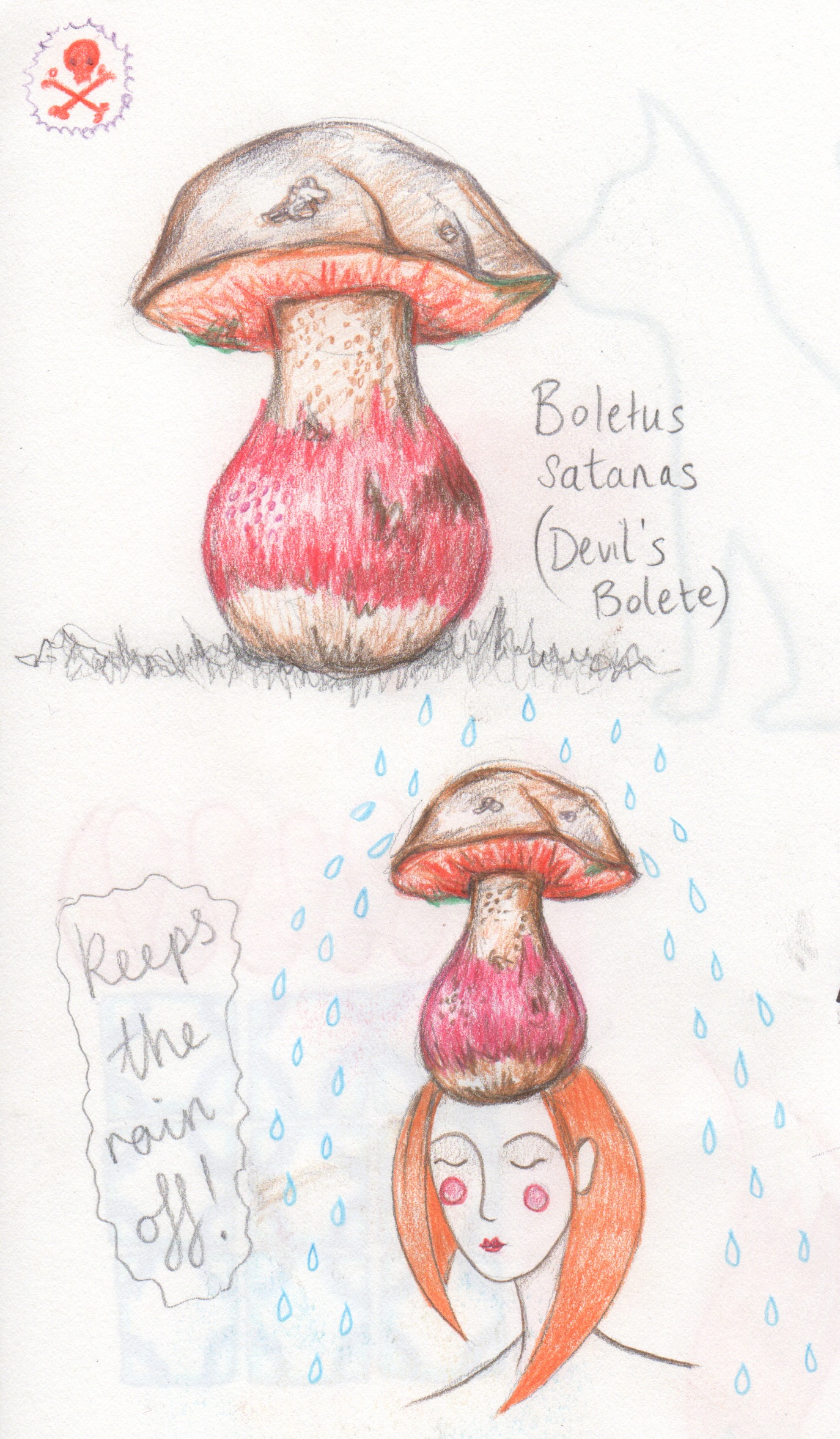 Mushroom