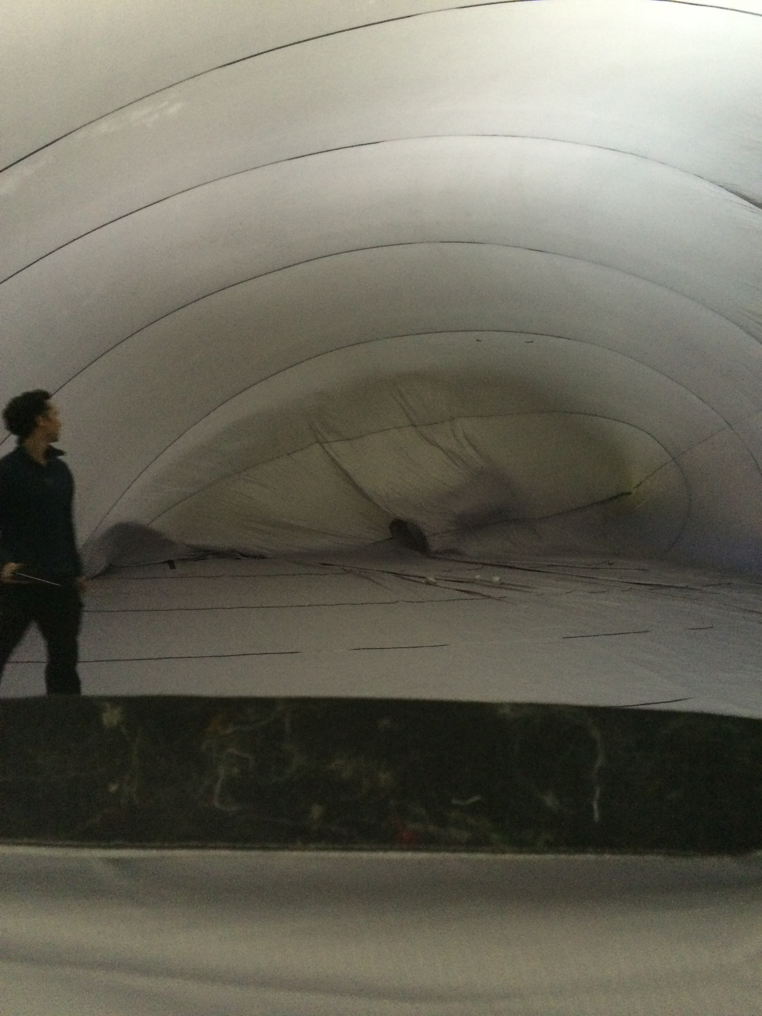 The 'bubble'.