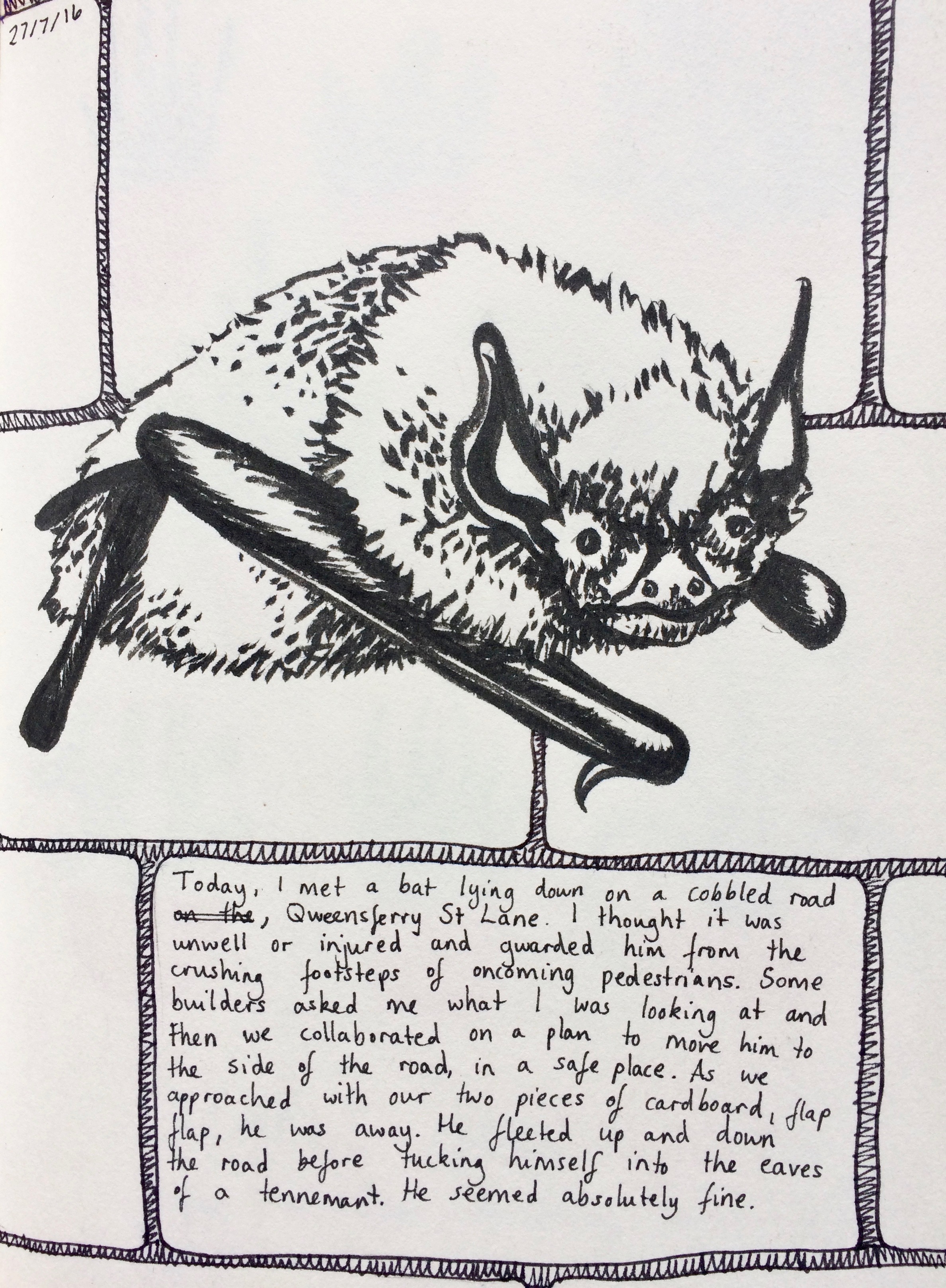 Bat