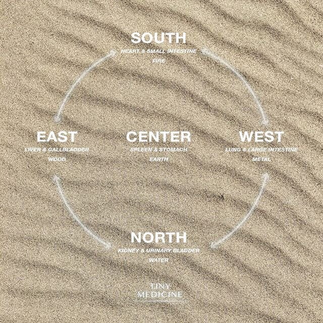 Thoughts on Perspective: People are always curious about what Chinese Medicine school is like. I think it comes from a deeper curiosity to know what it&rsquo;s like outside of Western thinking. And the truth is, learning Chinese medical theory is an 