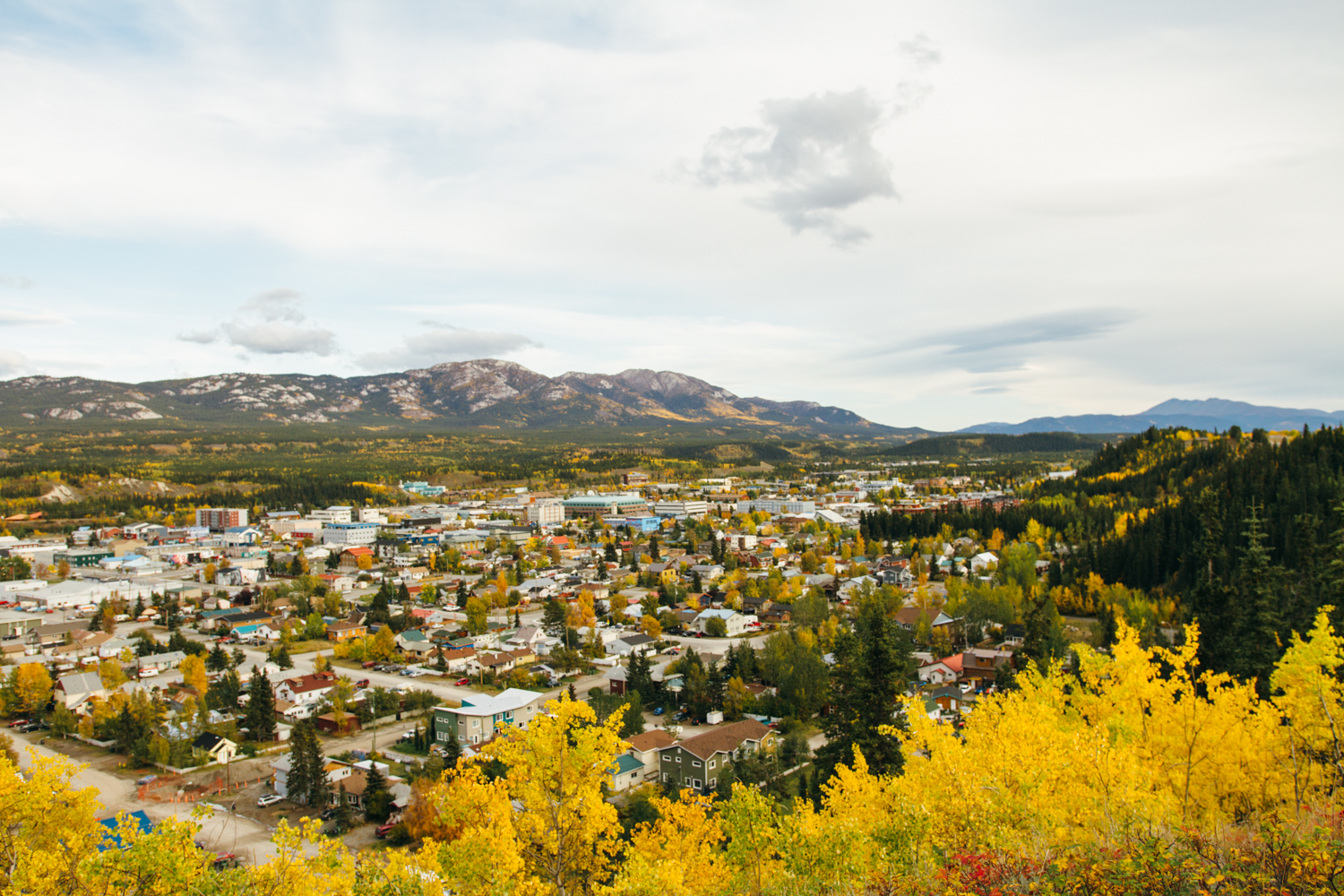 Downtown Whitehorse