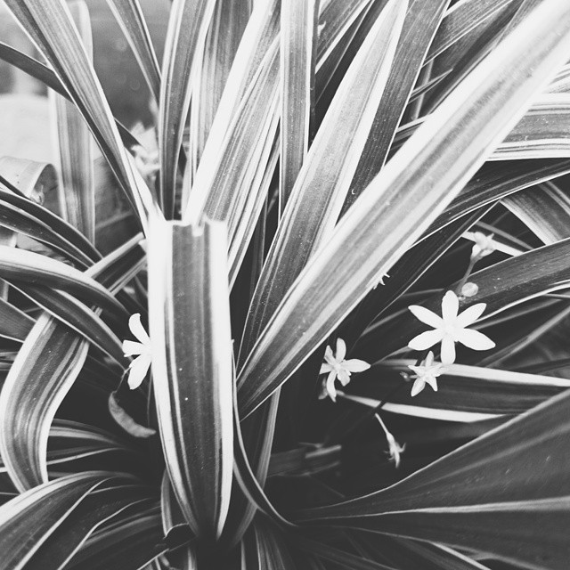 Carmela Poral : Whenever I get to do random acts of kindness, it feels like radiating beauty onto others - making them see that life is beautiful. And so if I radiate beauty to them, then I have that beauty.
