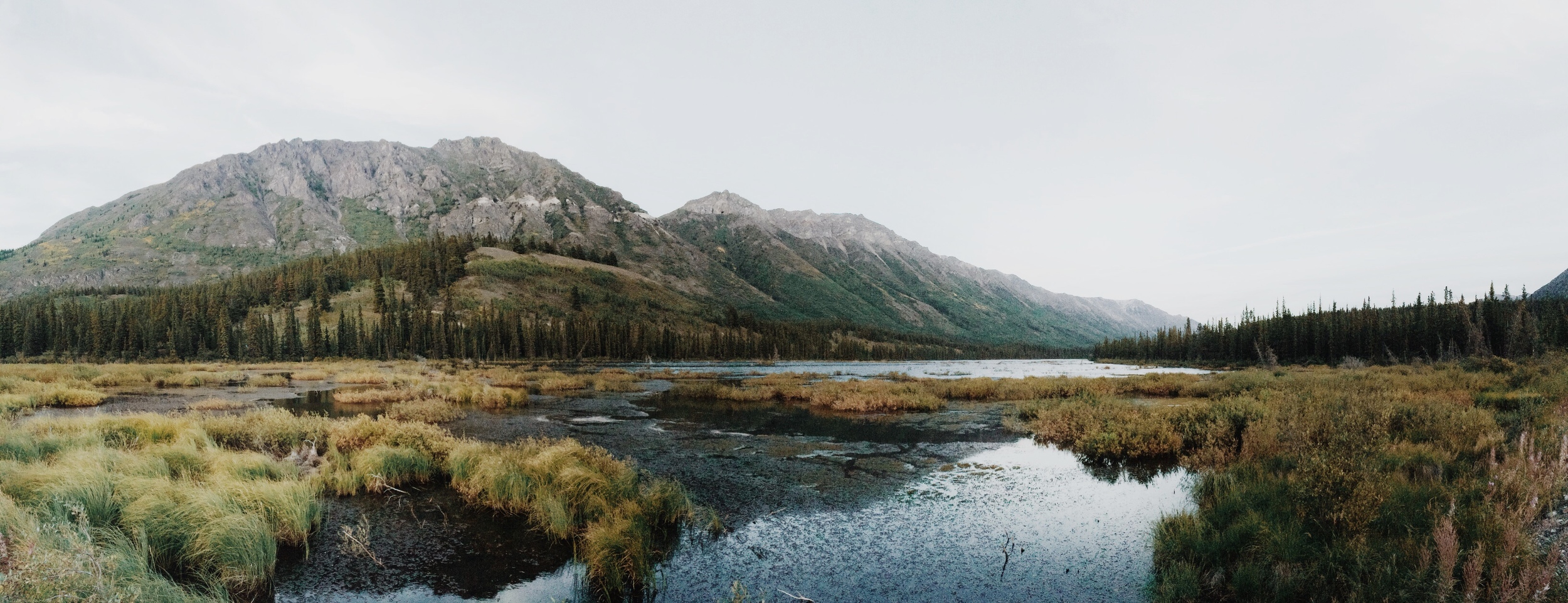 I believe this is Annie Lake. This little marsh leads up to a large and beautiful lake which we didn't get to see. so ~*sed*~