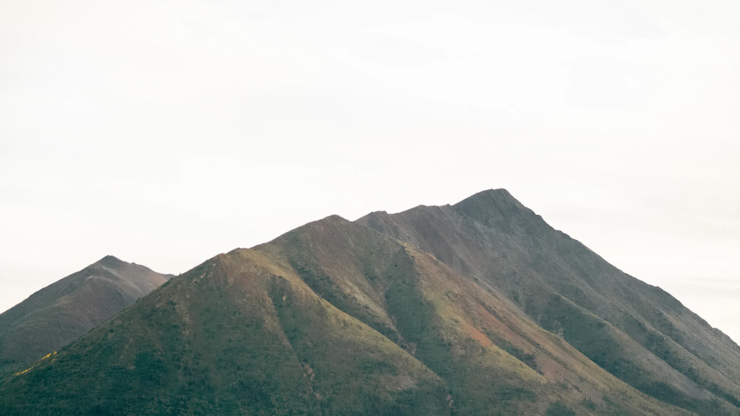 Sorry about the amount of grain in this photo. -_- Jorge edits photos way better than I do