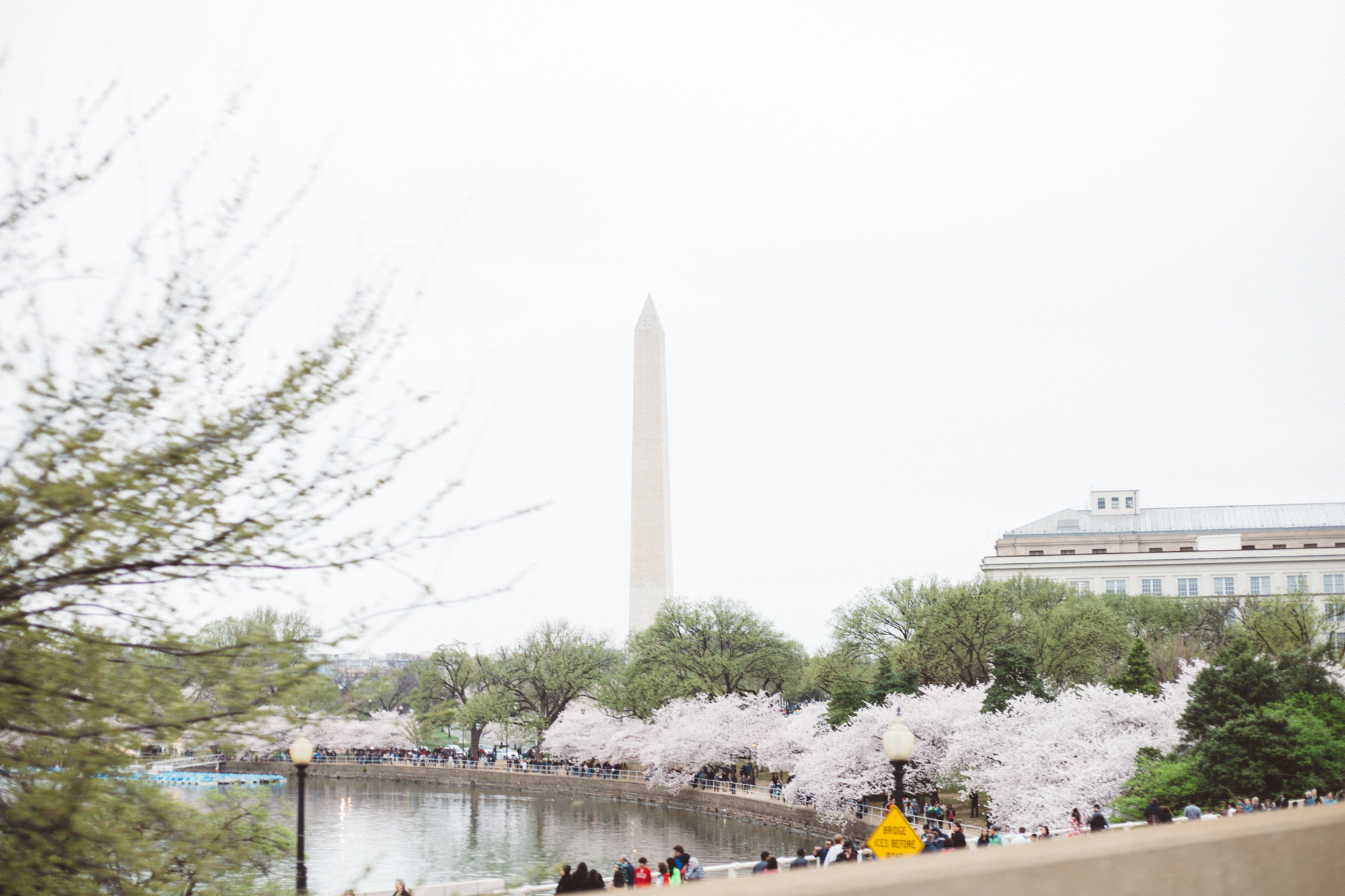DC