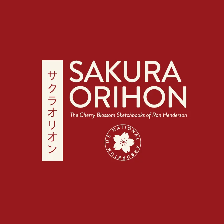 Sakura_WebThumb-01.jpg