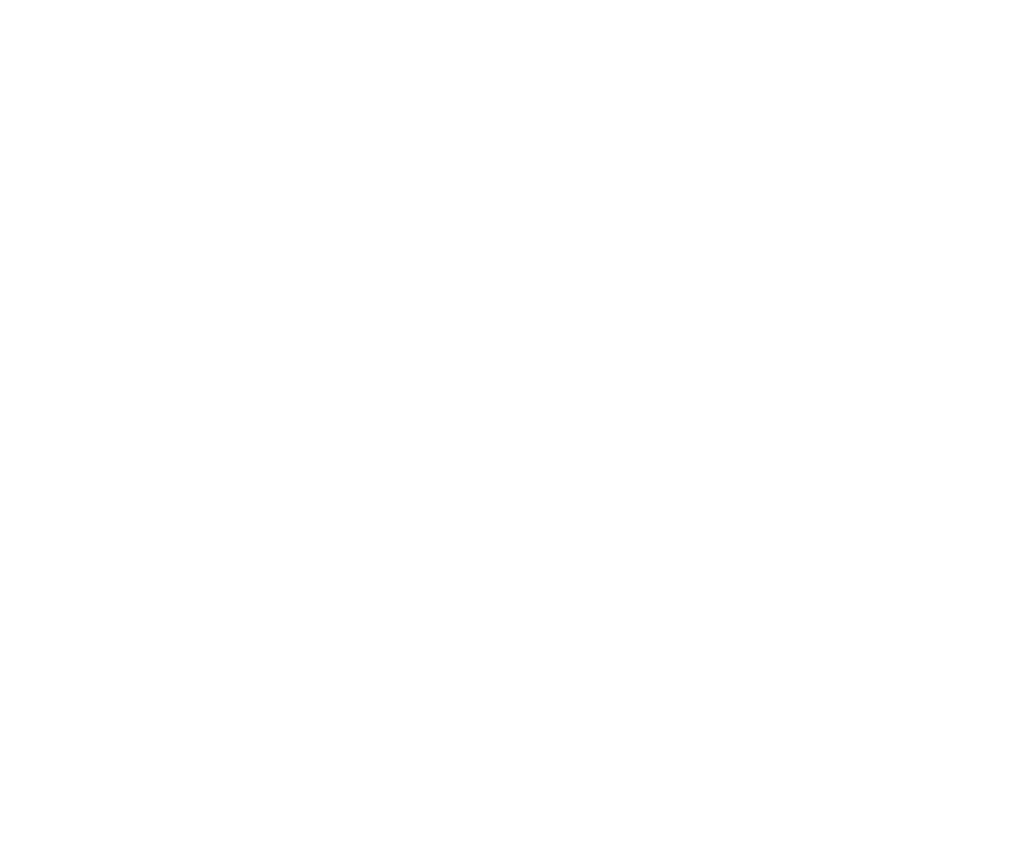 CITYBIKE.png