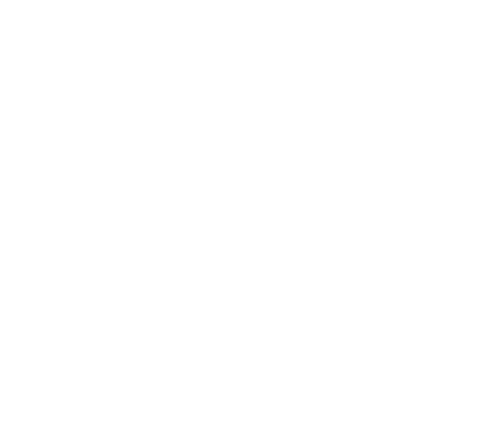 RIVIAN.png