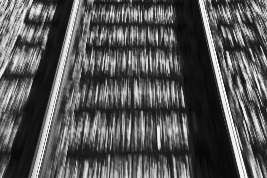 IMG_0954_BW2.JPG