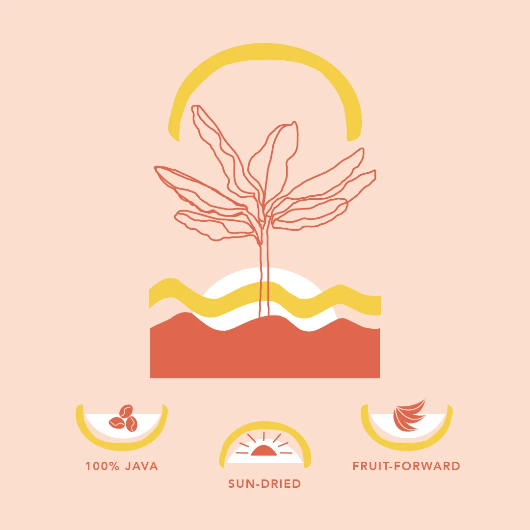 4_Bolivia_Infographic.jpg