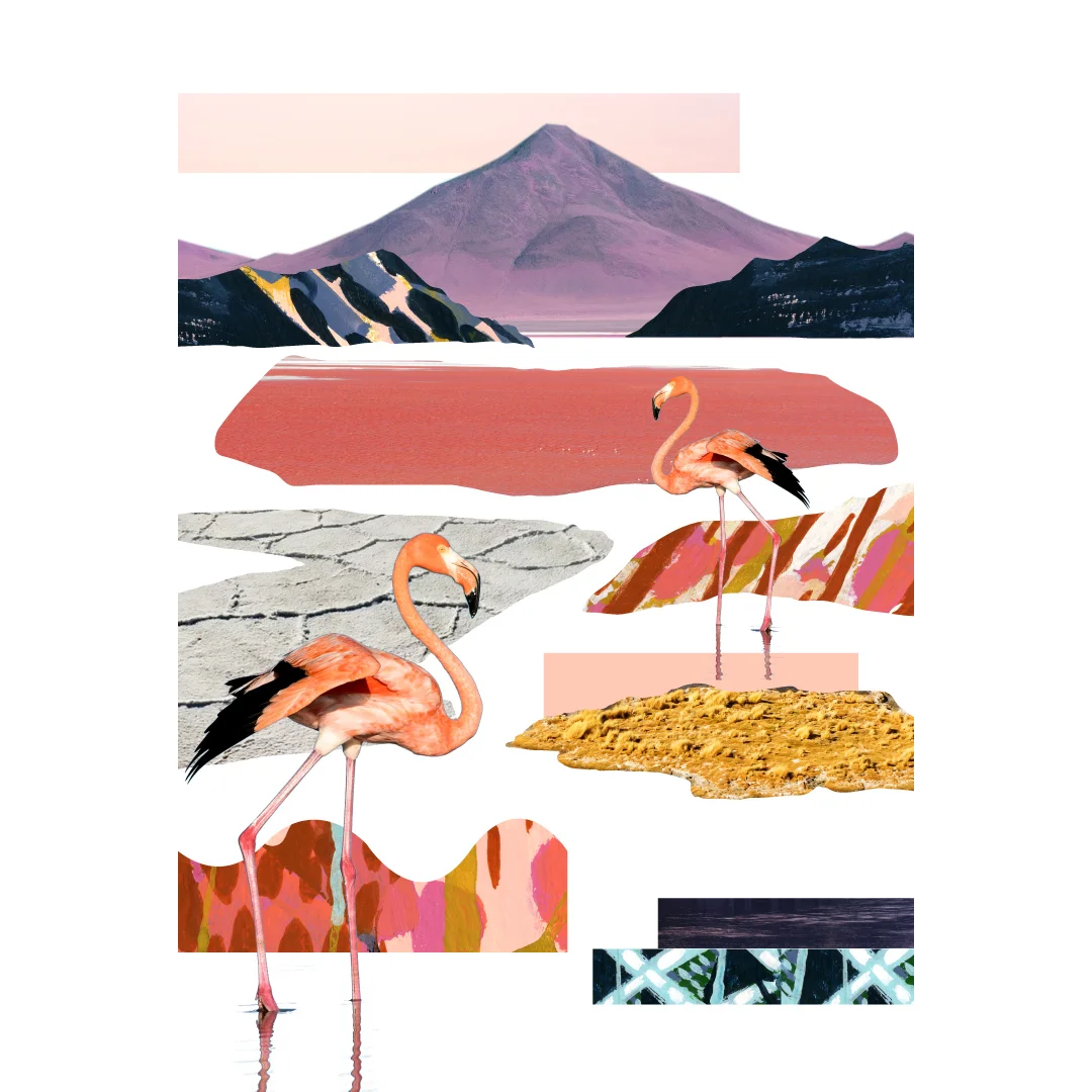 3_Bolivia_Collage.jpg