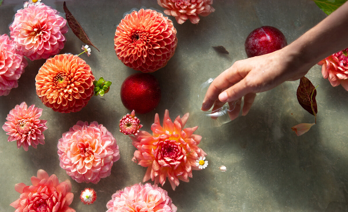 Flower Bath_2.jpg