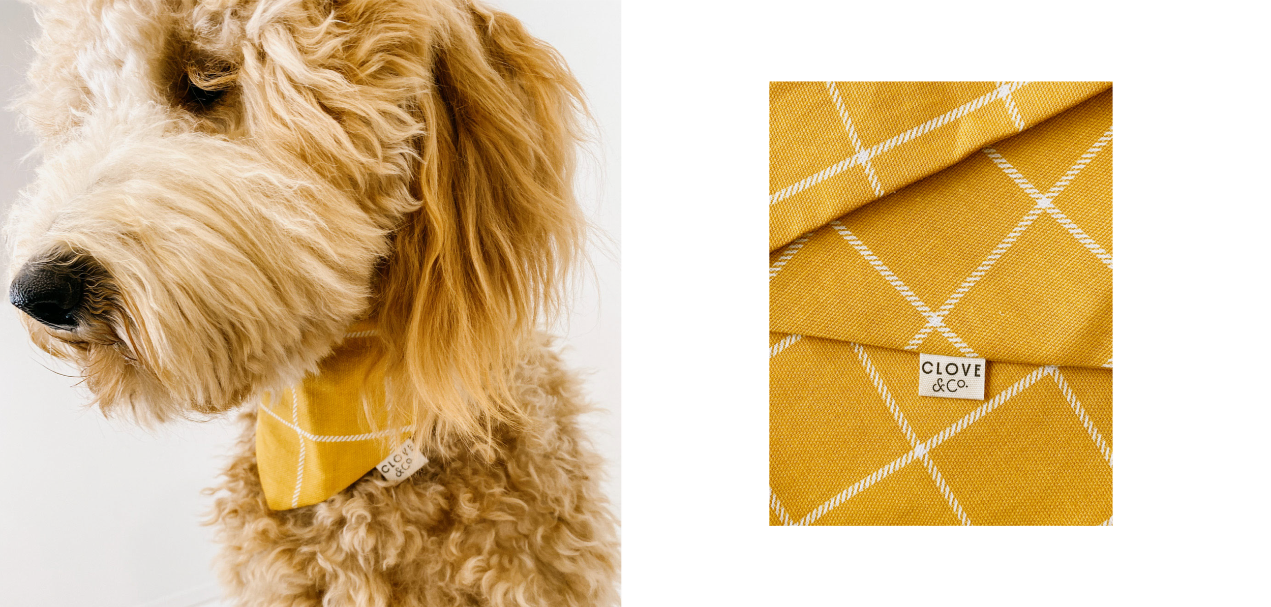 4 social copy 36.png