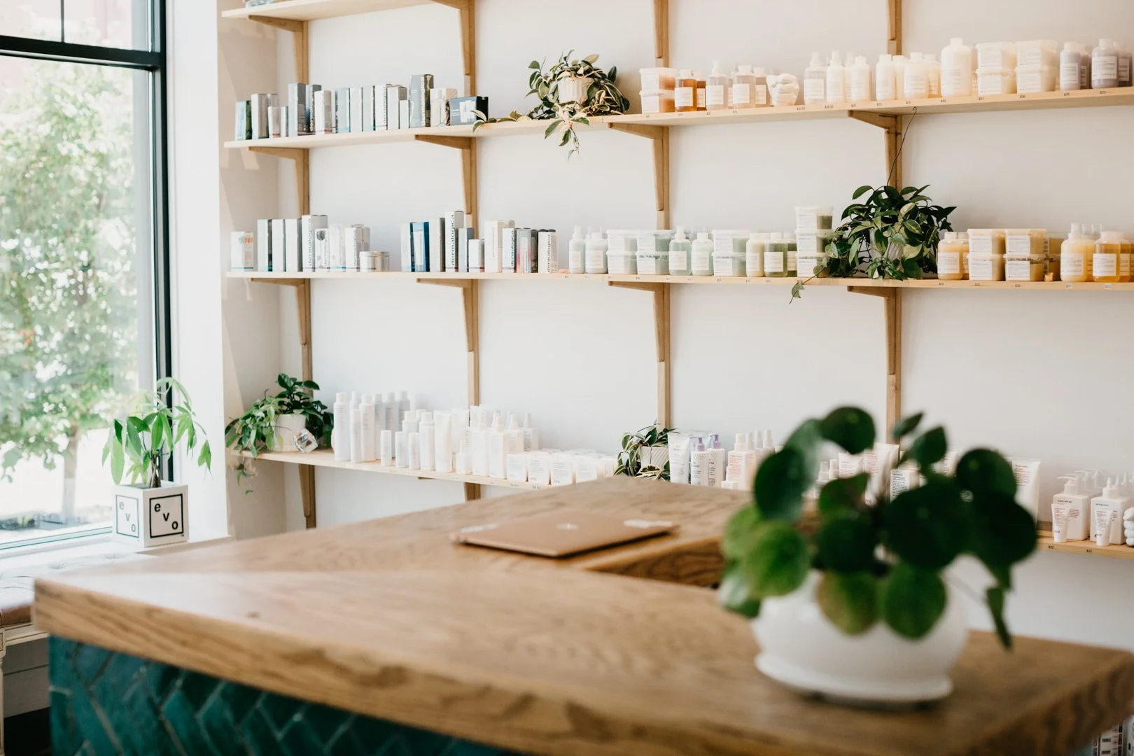 Interior of a shop with wooden shelves filled with bottles and books, natural light coming through a window, and potted plants on shelves and the counter.