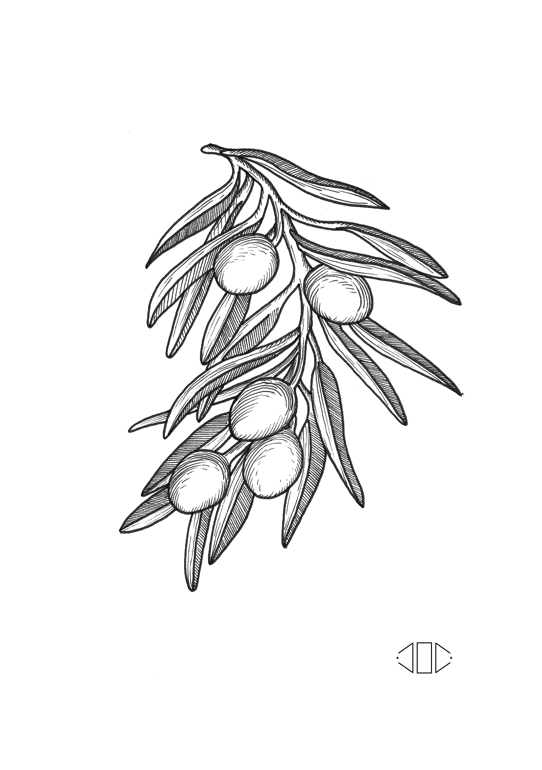 Olives.jpg