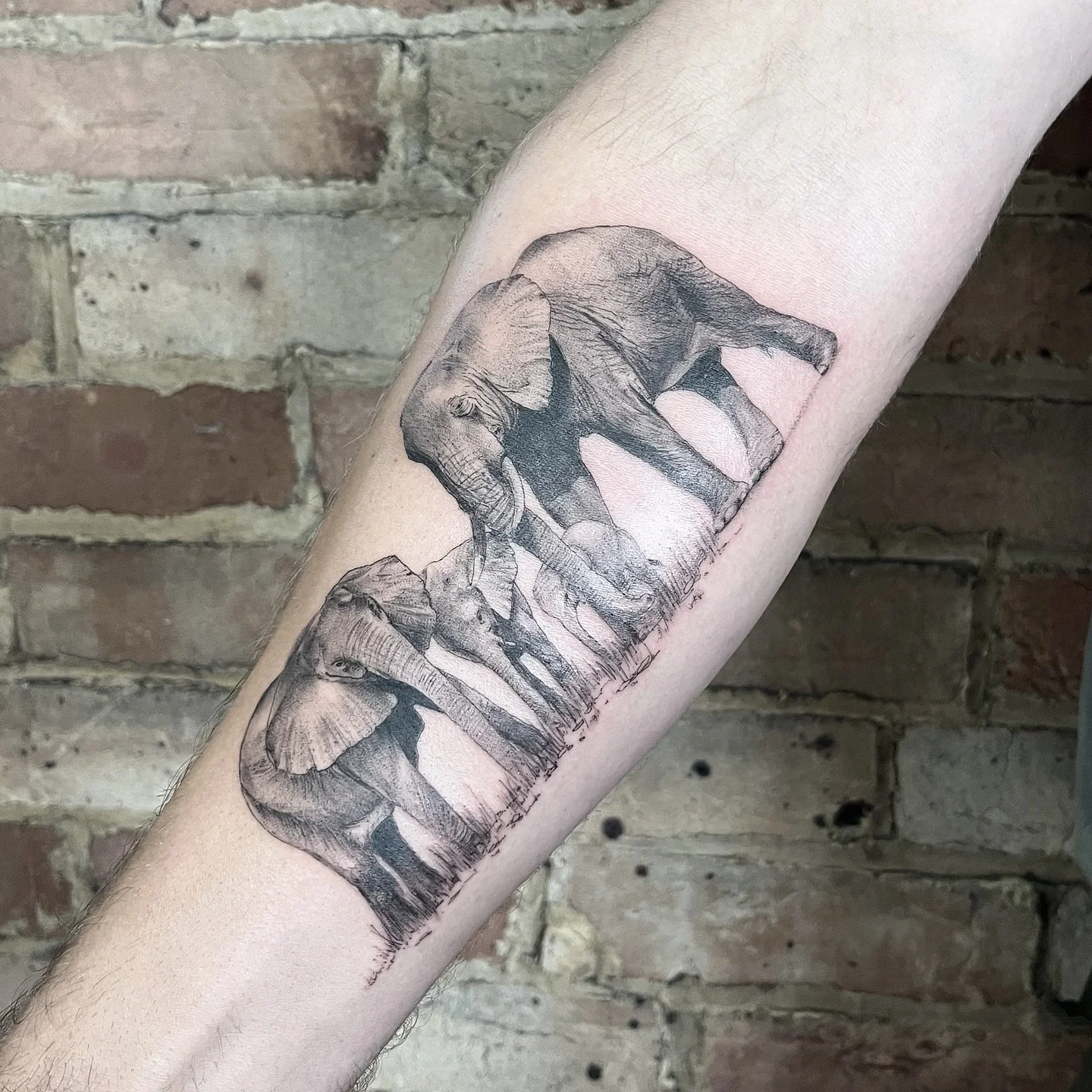 My October tattoo of the month is on Jon! 
Thanks for asking me to create this for you and your trust 🖤🐘
&bull;
&bull;
&bull;
&bull;
&bull;
#elephanttattoo #familytattoo #jochastney #realismtattooartist #detailedtattoos #bournemouthtattoo