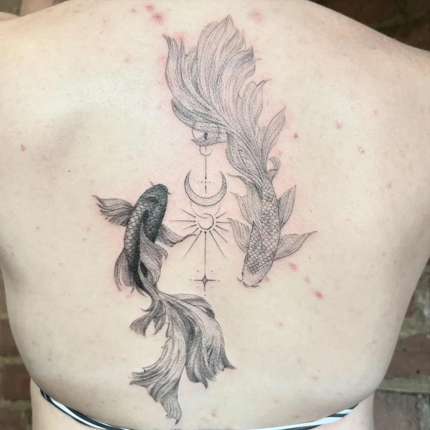 Yin yang koi carp. Yin and yang is a Chinese philosophical concept that describes two opposing forces that are complementary and interconnected. The symbol for yin and yang is two interlocking circles, in this case fish, one black and one white, repr