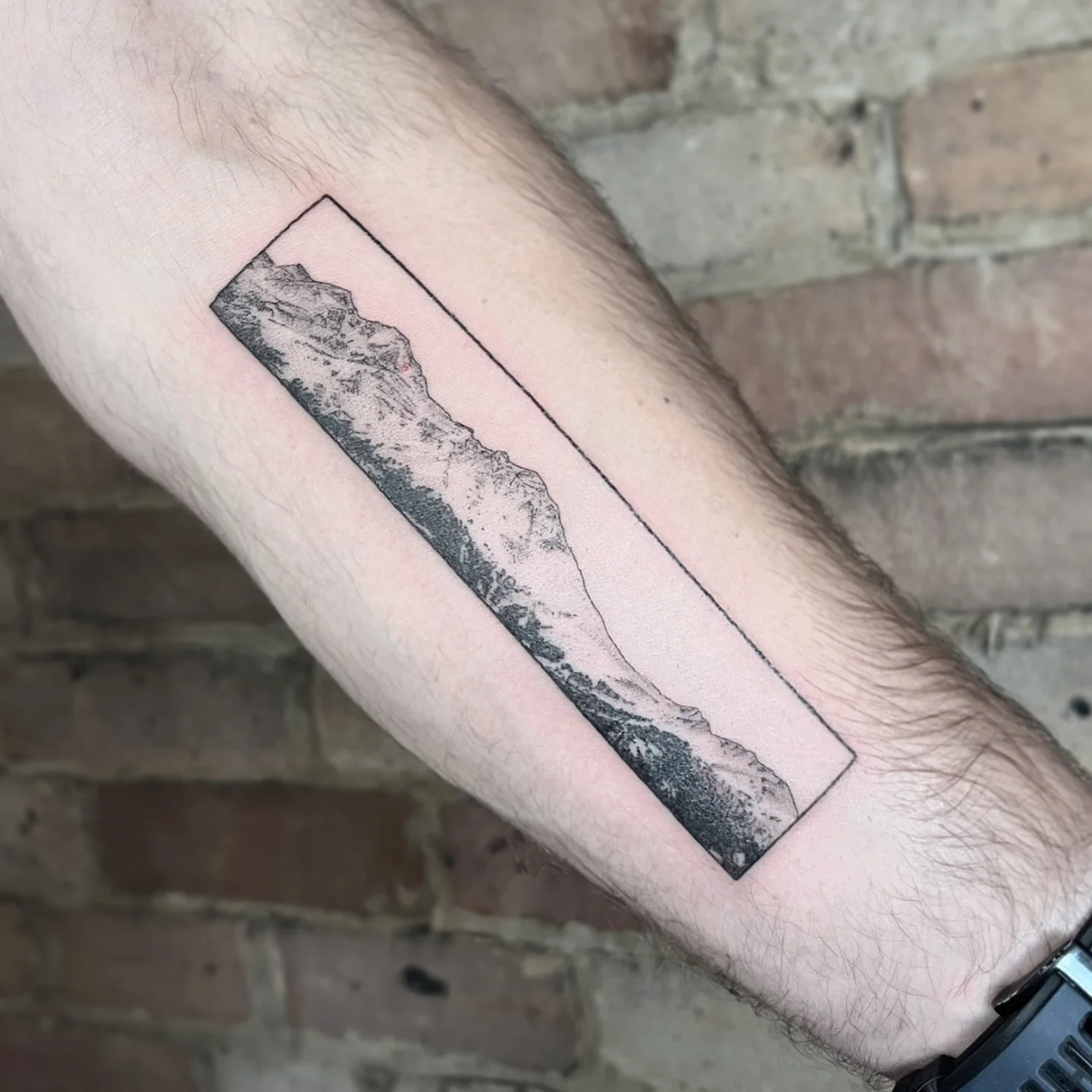 A view you want with you at all times 🖤🏔️🖤
Thanks Will! 
&bull;
&bull;
&bull;
&bull;
&bull;
#mountaintattoo #finelinetattooartist #lineworktattoos #realismtattooartist #jochastney #bournemouthtattoo