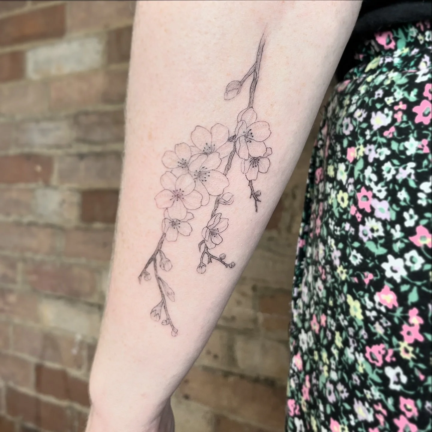 Cherry blossoms, the national flower of Japan which I guessed at a quiz recently. 
We still didn&rsquo;t win. 
&bull;
&bull;
&bull;
&bull;
&bull;
&bull;
#cherryblossomtattoo #jochastney #floraltattoos #finelinetattooing