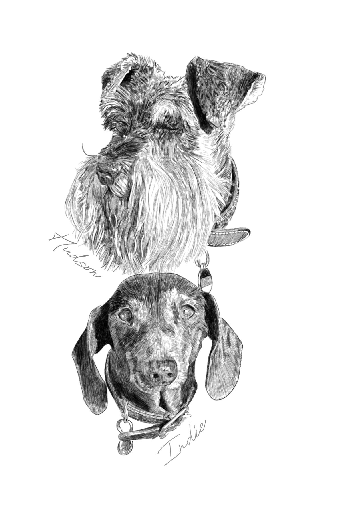 Hudson & Indie