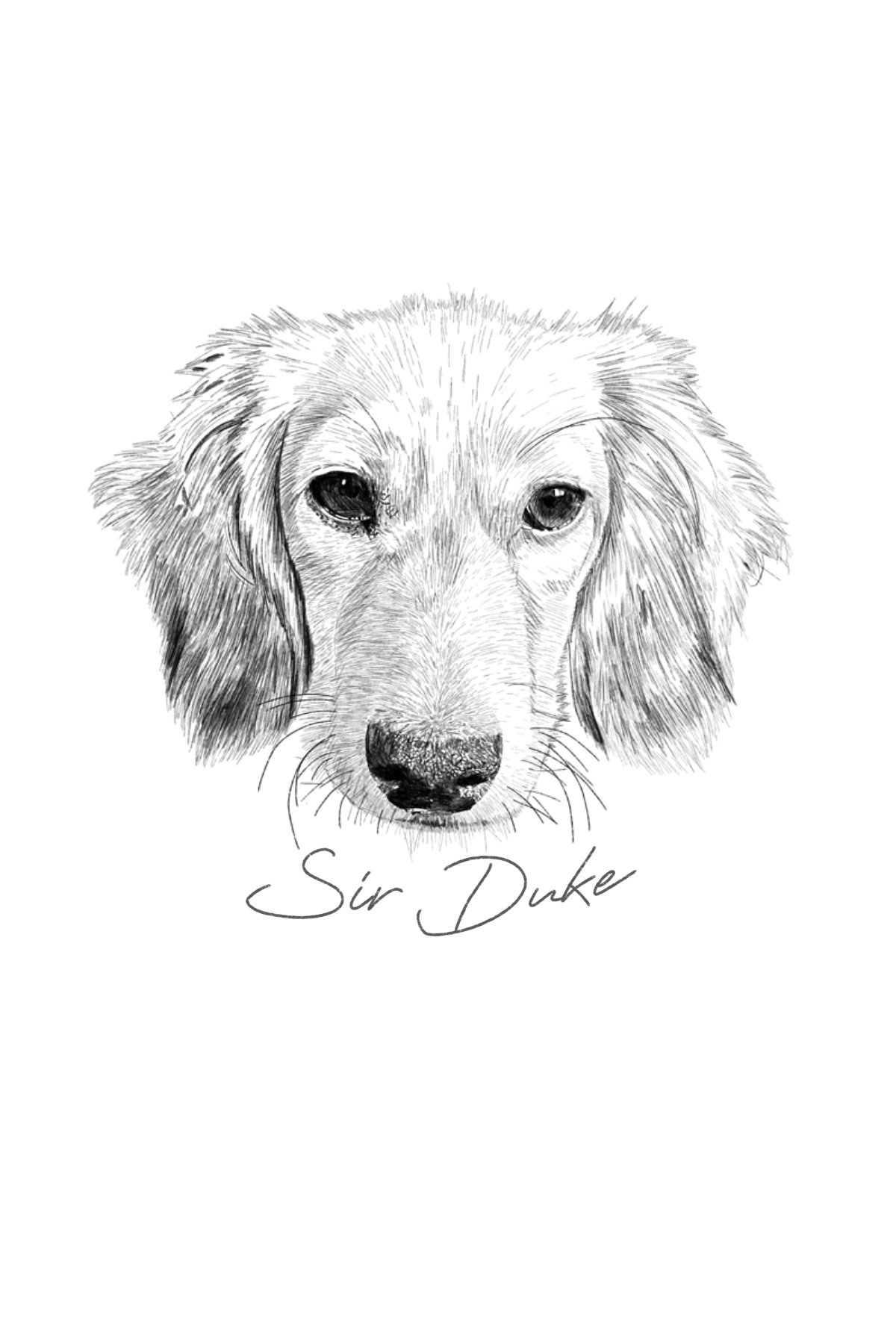 Sir Duke