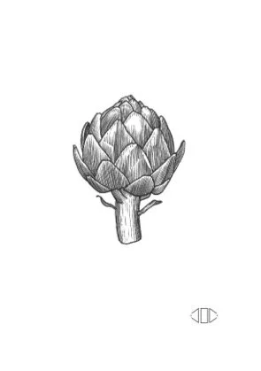 Artichoke.jpg