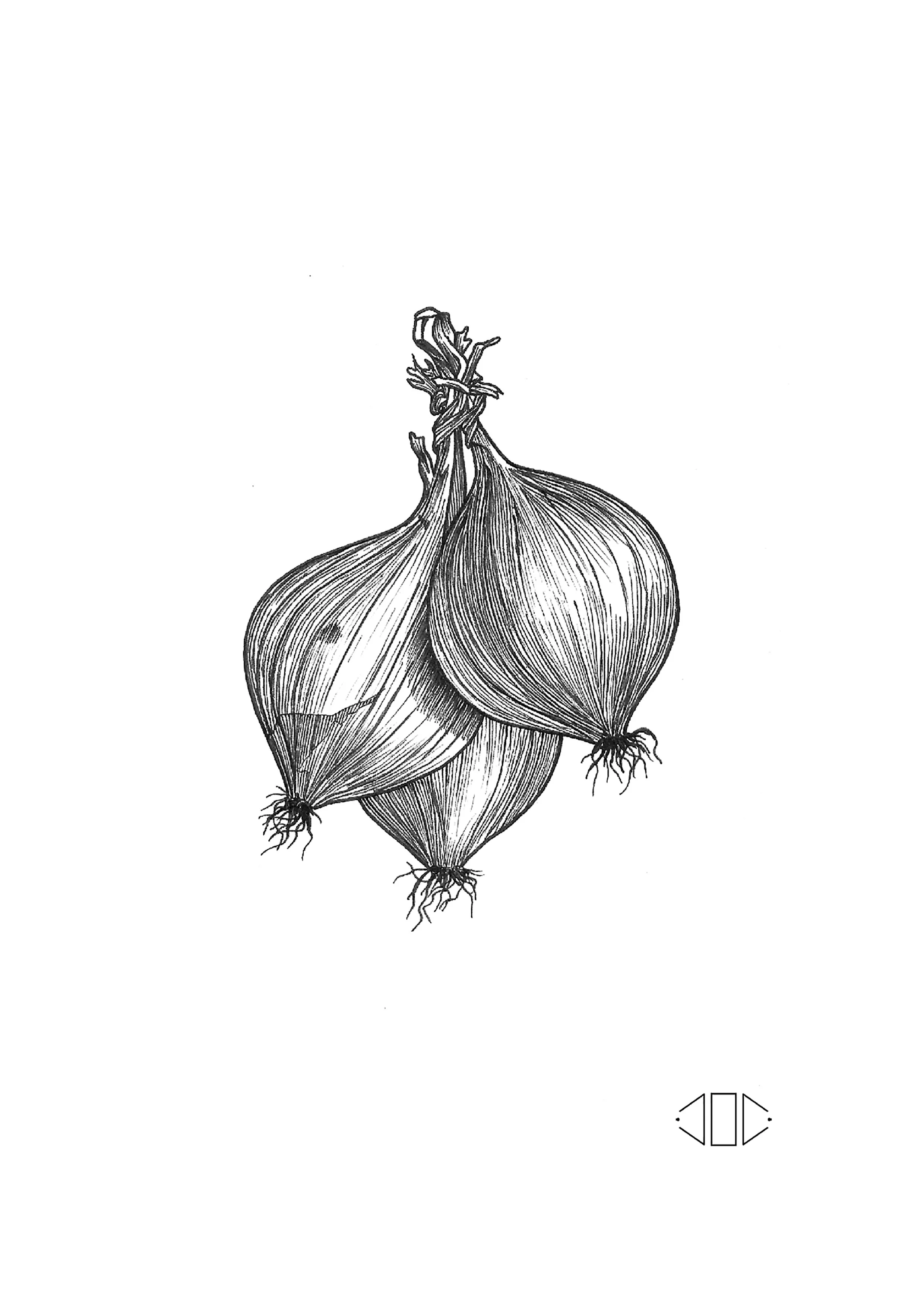 Onions_art_print.jpg