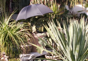 This gardener is ready for frost!