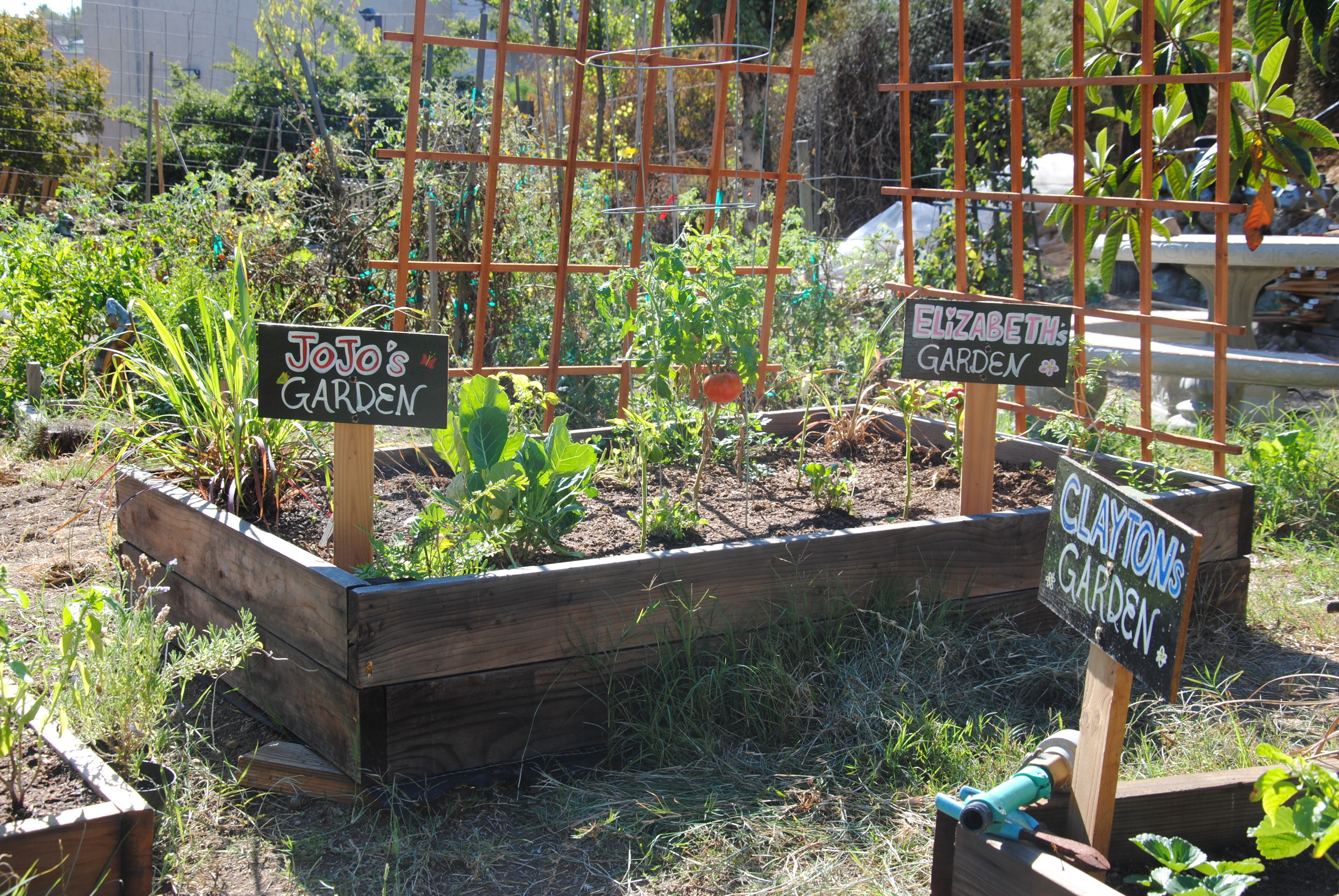 Gardening101.jpg