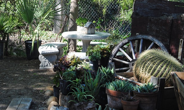We have seating all over the nursery where you can settle down for awhile with a coffee or snack. Come with a plan to stay and relax.