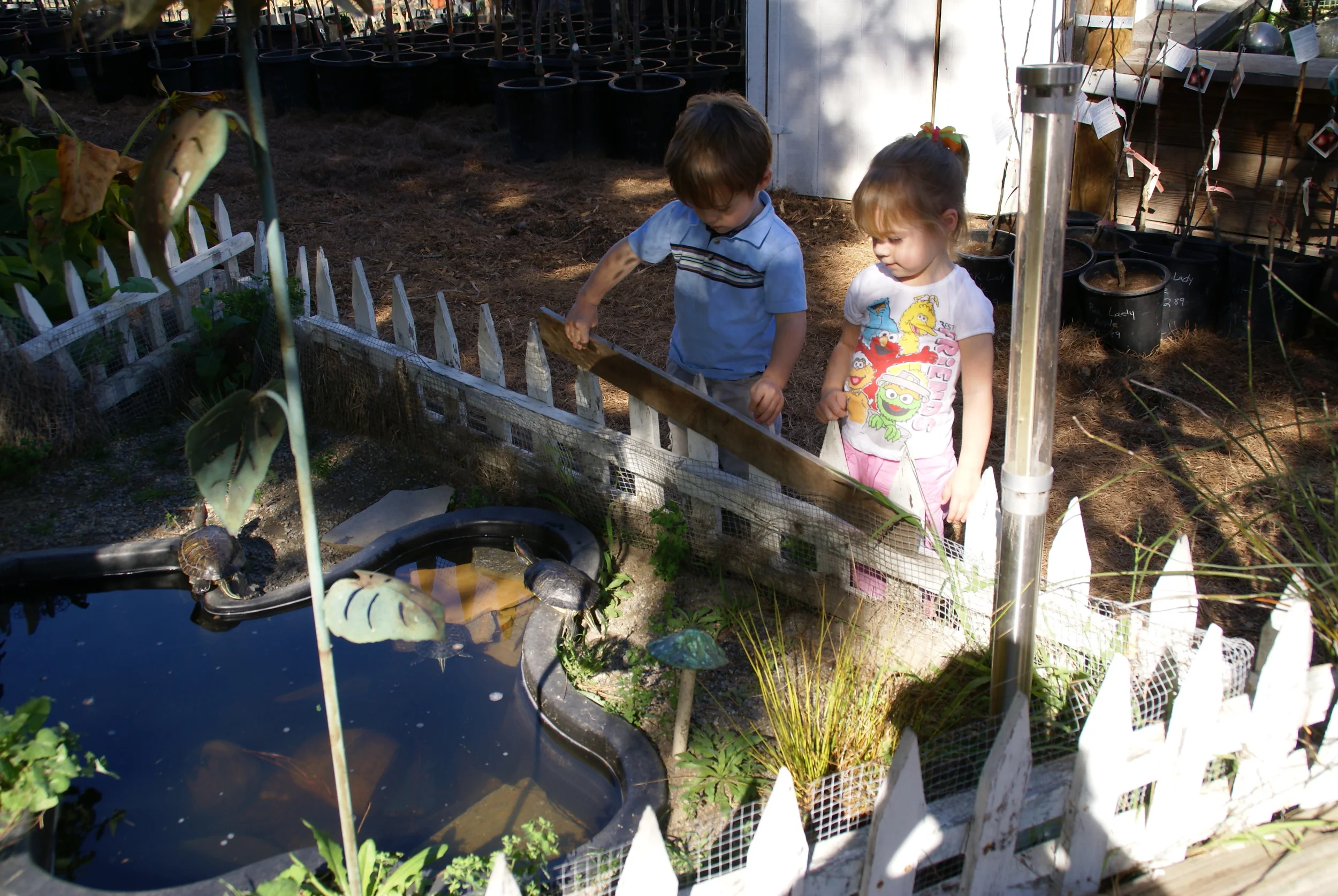 Kids — City Farmers Nursery