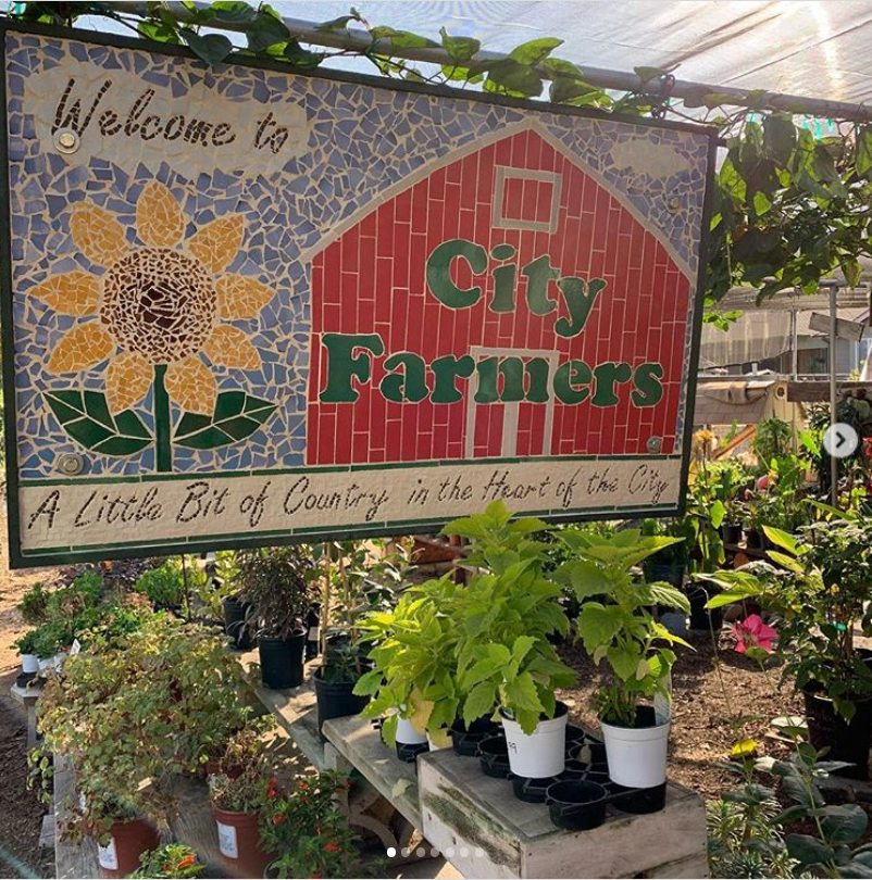 City Farmers Nursery