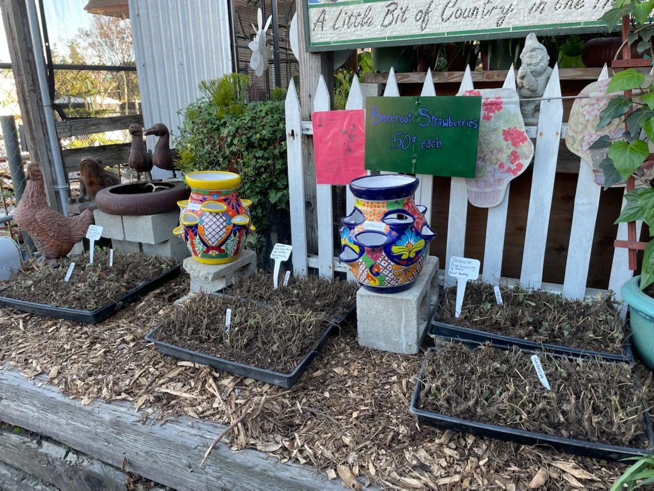 News — City Farmers Nursery